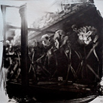 photographie-argentique-emulsion-gelatino-bromure-papier-aquarelle-museum-1