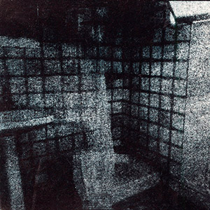 salle-de-bains-nuit-tirage-bromoil