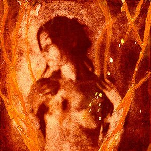variation-autoportrait-femme-oiseau-phenix-bromoil-rouge-et-or