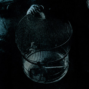 detail-cage-oiseau-et-main-la-tenant-bromoil-bleu-nuit
