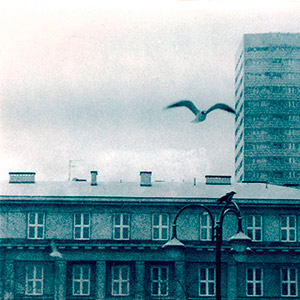oiseau-survolant-immeubles-varsovie-pologne-tirage-lith-bleu