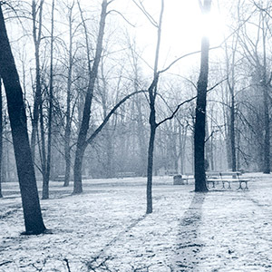 arbres-enneiges-petit-matin-varsovie-pologne-tirage-lith-bleu