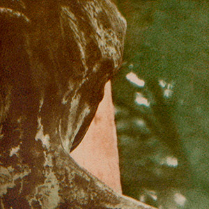 dos-tigre-de-statue--femme-vert-de-gris-tirage-gomme-bichromatee